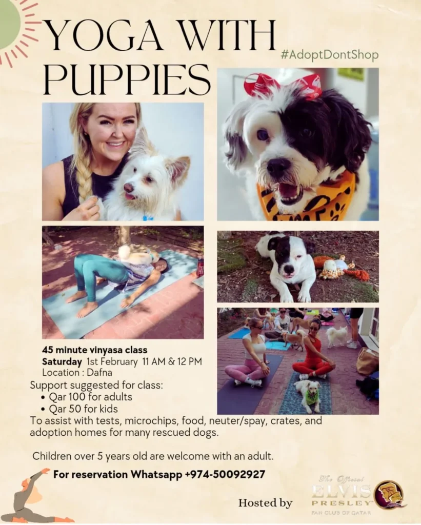 Yoga with Puppies: A Paws-itively Amazing Experience!