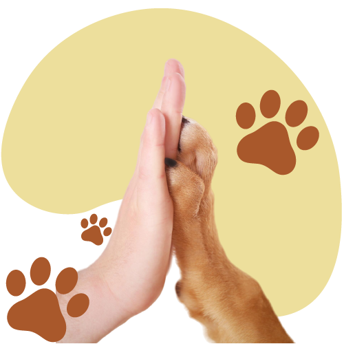 Furkids by Nagham, Contact us, message, e-mail