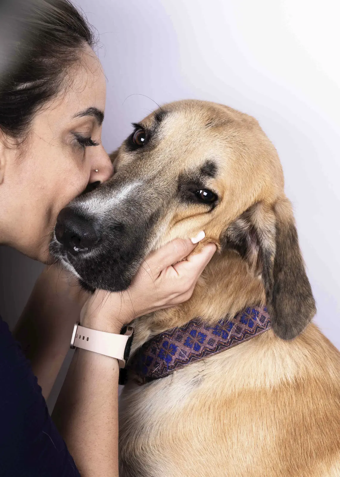 Furkids by Nagham - Hermes