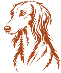 Saluki list - Furkids