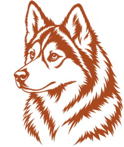 Husky list - Furkids